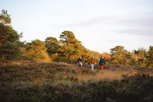 Hiking Tales // Autumn Edition 2024