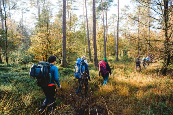 Hiking Tales // Autumn Edition 2024